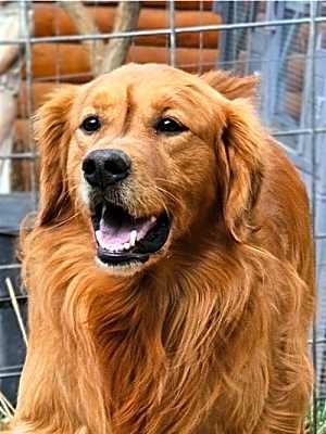 Photo of Max #image