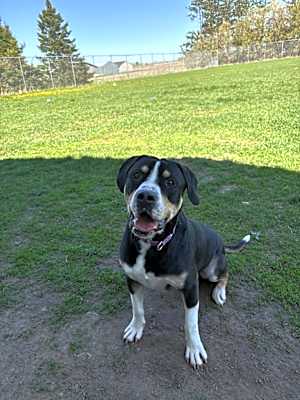 Photo of Bucky #image