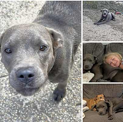 Photo of Mercy #image