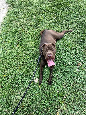 Photo of Max #image