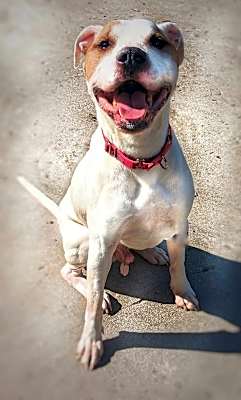 Photo of TUCKER #image