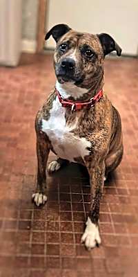 Photo of DAISY #image