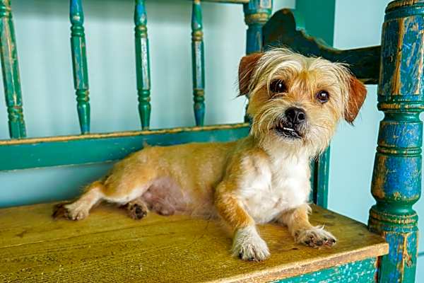 Photo of Lucho #image