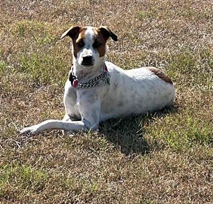 Photo of Shasta Lili #image
