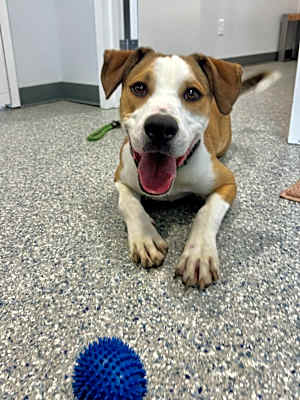 Photo of Dog of the Month! #image