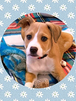 Photo of MYLO #image