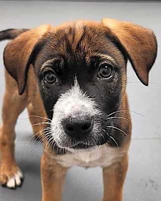 Photo of Bingo #image