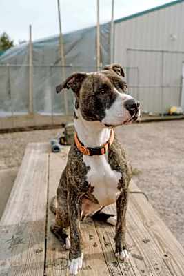 Photo of Max #image