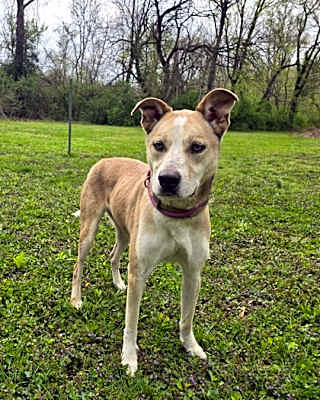 Photo of Tucker #image
