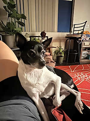 Photo of Noah #image