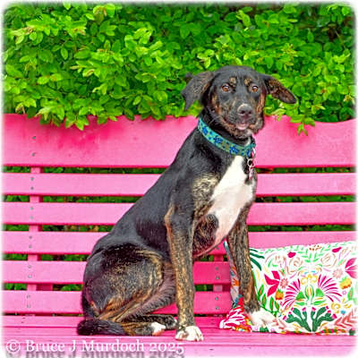 Photo of Tierra #image