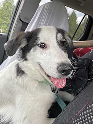Photo of Morty #image