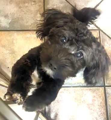 Photo of Millie #image