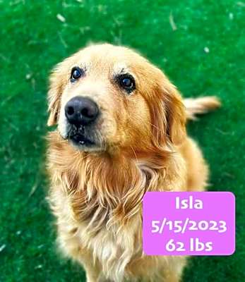 Photo of Isla #image