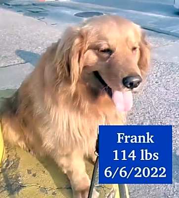 Photo of Frank #image