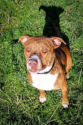 Photo of Cosmo #image