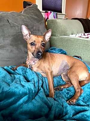 Photo of Tina #image