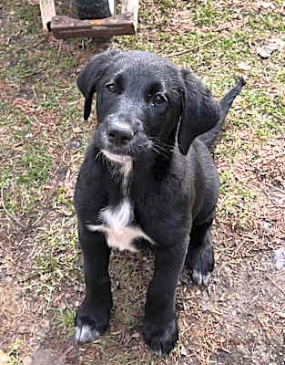 Photo of Lilly #image