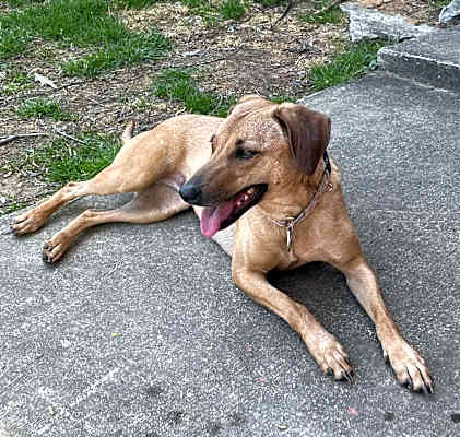 Photo of Sandy #image