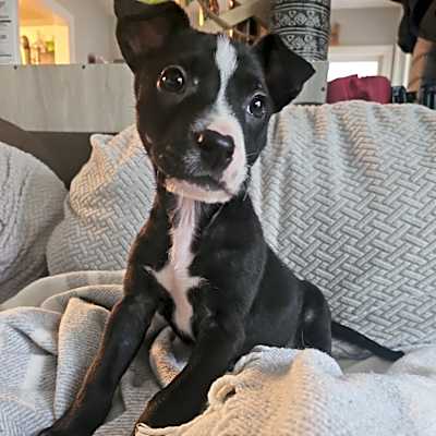 Photo of Rico #image