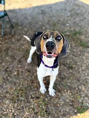 Photo of Waylon #image