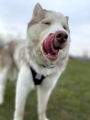 Photo of Max #image