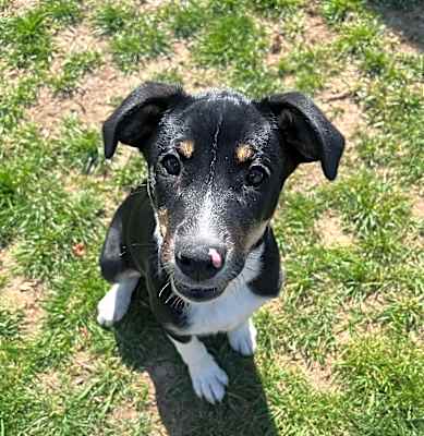 Photo of Jaina (fka Thumper) #image