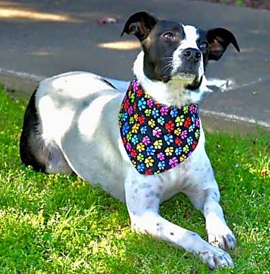 Photo of MINNIE #image