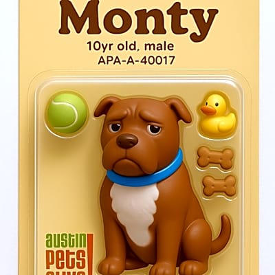 Photo of Monty #image