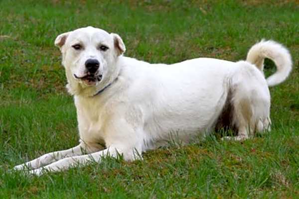Photo of Bert #image
