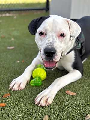 Photo of Billy #image