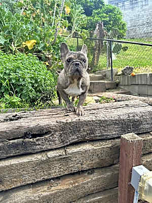 Photo of Pia #image