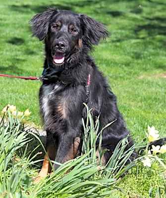 Photo of Asher Sampson #image
