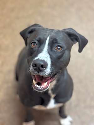 Photo of Maggie Mae #image
