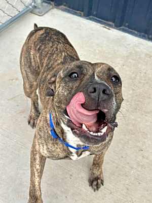 Photo of Ruthie #image