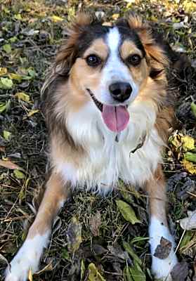 Photo of Oakley #image
