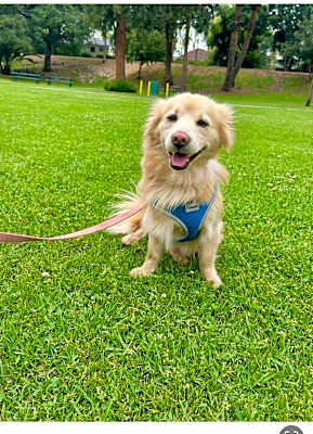 Photo of Charlie #image