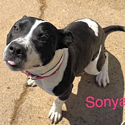 Photo of Sonya Uriah Philly #image