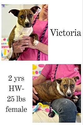 Photo of Victoria #image