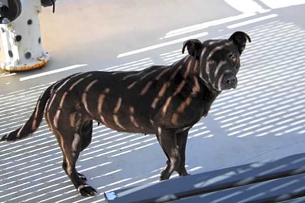 Photo of Trudy #image