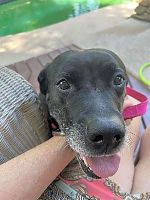 Photo of BETSY #image
