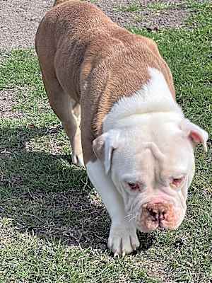 Photo of Mildred #image