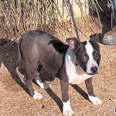 Photo of Kya #image