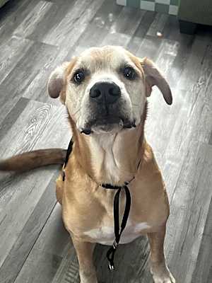 Photo of Roscoe #image