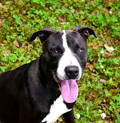 Photo of Coco #image