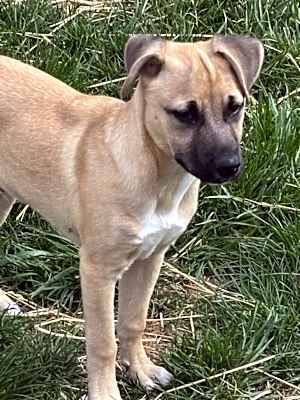Photo of Parker #image