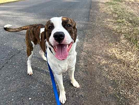 Photo of Barney #image