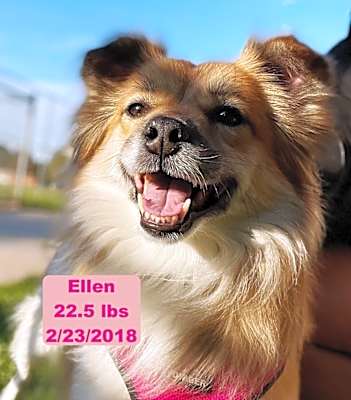Photo of Ellen #image