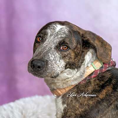 Photo of Xena #image