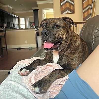 Photo of Kiki #image
